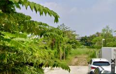 ขายที่ดินเปล่า 1-1-77 ตารางวา ลาดพร้าว 107 แยก 30 (90,000/วา) ใกล้ตลาดแฮปปี้แลนด์ (N.1871)-202509261601211758877281096.jpg