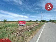 ขายที่ดิน เนื้อที่ 29 ไร่ 2 งาน 24 ตร.วา บางแก้ว สมุทรสงคราม