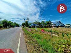 ขายที่ดิน เนื้อที่ 29 ไร่ 2 งาน 24 ตร.วา บางแก้ว สมุทรสงคราม-202509261631331758879093621.jpg