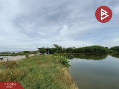 ขายที่ดิน เนื้อที่ 29 ไร่ 2 งาน 24 ตร.วา บางแก้ว สมุทรสงคราม-202509261631351758879095747.jpg