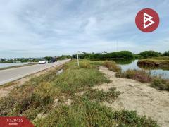 ขายที่ดิน เนื้อที่ 29 ไร่ 2 งาน 24 ตร.วา บางแก้ว สมุทรสงคราม-202509261631361758879096284.jpg