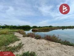 ขายที่ดิน เนื้อที่ 29 ไร่ 2 งาน 24 ตร.วา บางแก้ว สมุทรสงคราม-202509261631371758879097339.jpg