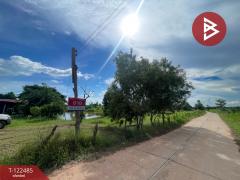 ขายบ้านเดี่ยวพร้อมที่ดิน เนื้อที่ 16 ไร่ 1 งาน 52 ตร.วา บรบือ มหาสารคาม-202509261645441758879944894.jpg