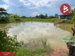 ขายบ้านเดี่ยวพร้อมที่ดิน เนื้อที่ 16 ไร่ 1 งาน 52 ตร.วา บรบือ มหาสารคาม-202509261645491758879949673.jpg