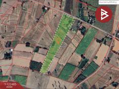 ขายบ้านเดี่ยวพร้อมที่ดิน เนื้อที่ 16 ไร่ 1 งาน 52 ตร.วา บรบือ มหาสารคาม-202509261645501758879950198.jpg