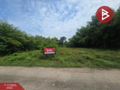 ขายที่ดิน เนื้อที่ 1 ไร่ 65.2 ตร.วา วิหารแดง สระบุรี