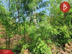 ขายที่ดิน เนื้อที่ 1 ไร่ 2 งาน 60 ตร.วา บ้านสวน ชลบุรี-202509261714411758881681013.jpg