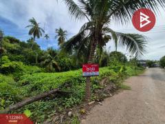 ขายที่ดิน 1 งาน 71.6 ตารางวา บ้านปรก 8 สมุทรสงคราม