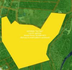 ที่ดิน ขายที่ดินเปล่า หนองหญ้าปล้อง จ.เพชรบุรี (ใกล้ทางหลวง 3510 และ 1015) 32-0-76 ไร่ ราคา 17 ล้านบาท   17000000 BAHT ไม่ไกลจาก ห่าง เซ็นทรัลพระราม 2 ประมาณ 110 กม. น่าอยู่ใกล้สิ่งอำนวยความสดวก