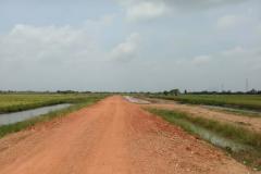 ขายที่ดิน เนื้อที่ 94-0-95 ไร่ อ.พนัสนิคม ใกล้โรงพยาบาลส่งเสริมสุขภาพตำบลหัวถนน