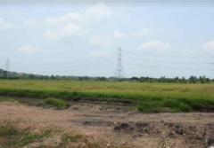 ขายที่ดิน เนื้อที่ 94-0-95 ไร่ อ.พนัสนิคม ใกล้โรงพยาบาลส่งเสริมสุขภาพตำบลหัวถนน-202509261807381758884858981.jpg