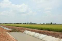 ขายที่ดิน เนื้อที่ 94-0-95 ไร่ อ.พนัสนิคม ใกล้โรงพยาบาลส่งเสริมสุขภาพตำบลหัวถนน-202509261807401758884860024.jpg