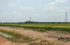 ขายที่ดิน เนื้อที่ 94-0-95 ไร่ อ.พนัสนิคม ใกล้โรงพยาบาลส่งเสริมสุขภาพตำบลหัวถนน-202509261807401758884860535.jpg