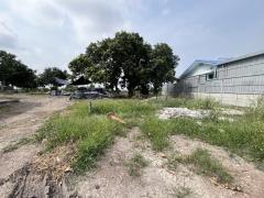 ขายบ้านพร้อมที่ดิน 1 ไร่ (นส.3 ออกโฉนด) ต.ศรีจุฬา ขาย 1.6 ล้านบาท-202509262003331758891813809.jpg