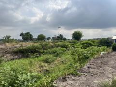 ขายบ้านพร้อมที่ดิน 1 ไร่ (นส.3 ออกโฉนด) ต.ศรีจุฬา ขาย 1.6 ล้านบาท-202509262003371758891817284.jpg