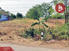 ขายที่ดินถมแล้ว เนื้อที่ 1 ไร่ 2 งาน 6 ตารางวา บึงสามพัน เพชรบูรณ์ ติดถนน-202509262337201758904640073.jpg