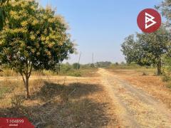 ขายที่ดินพร้อมสิ่งปลูกสร้าง เนื้อที่ 27 ไร่ 1 งาน 58.0 ตารางวา  อ.ประโคนชัย บุรีรัมย์-202509270441401758922900769.jpg