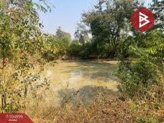 ขายที่ดินพร้อมสิ่งปลูกสร้าง เนื้อที่ 27 ไร่ 1 งาน 58.0 ตารางวา  อ.ประโคนชัย บุรีรัมย์-202509270441411758922901727.jpg