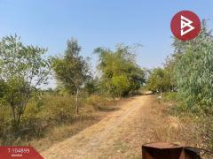 ขายที่ดินพร้อมสิ่งปลูกสร้าง เนื้อที่ 27 ไร่ 1 งาน 58.0 ตารางวา  อ.ประโคนชัย บุรีรัมย์-202509270441431758922903057.jpg