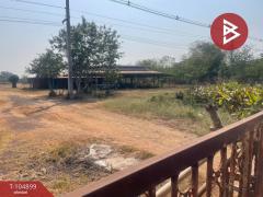 ขายที่ดินพร้อมสิ่งปลูกสร้าง เนื้อที่ 27 ไร่ 1 งาน 58.0 ตารางวา  อ.ประโคนชัย บุรีรัมย์-202509270441441758922904094.jpg