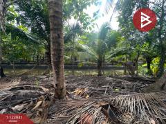 ขายที่ดินสวนมะพร้าว เนื้อที่ 2 ไร่ 3 งาน 49.5 ตารางวา ดำเนินสะดวก ราชบุรี