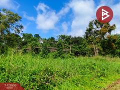 ขายที่ดิน เนื้อที่ 4 ไร่ 1 งาน 87 ตารางวา โป่งน้ำร้อน จันทบุรี