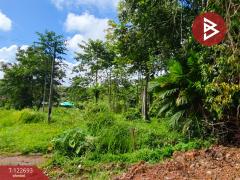 ขายที่ดิน เนื้อที่ 4 ไร่ 1 งาน 87 ตารางวา โป่งน้ำร้อน จันทบุรี-202509271215521758950152190.jpg