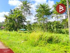 ขายที่ดิน เนื้อที่ 4 ไร่ 1 งาน 87 ตารางวา โป่งน้ำร้อน จันทบุรี-202509271215521758950152741.jpg