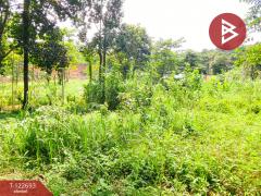 ขายที่ดิน เนื้อที่ 4 ไร่ 1 งาน 87 ตารางวา โป่งน้ำร้อน จันทบุรี-202509271215531758950153289.jpg