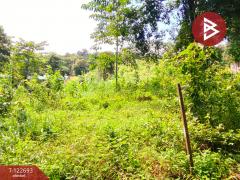 ขายที่ดิน เนื้อที่ 4 ไร่ 1 งาน 87 ตารางวา โป่งน้ำร้อน จันทบุรี-202509271215531758950153838.jpg