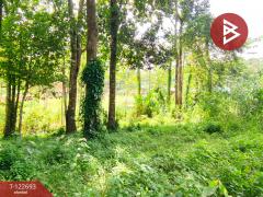 ขายที่ดิน เนื้อที่ 4 ไร่ 1 งาน 87 ตารางวา โป่งน้ำร้อน จันทบุรี-202509271215541758950154935.jpg