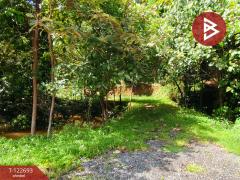 ขายที่ดิน เนื้อที่ 4 ไร่ 1 งาน 87 ตารางวา โป่งน้ำร้อน จันทบุรี-202509271215551758950155507.jpg