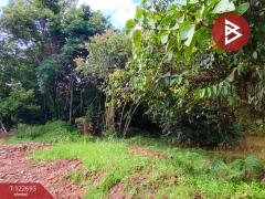 ขายที่ดิน เนื้อที่ 4 ไร่ 1 งาน 87 ตารางวา โป่งน้ำร้อน จันทบุรี-202509271215561758950156054.jpg