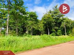 ขายที่ดิน เนื้อที่ 4 ไร่ 1 งาน 87 ตารางวา โป่งน้ำร้อน จันทบุรี-202509271215561758950156601.jpg