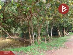 ขายที่ดิน เนื้อที่ 4 ไร่ 1 งาน 87 ตารางวา โป่งน้ำร้อน จันทบุรี-202509271215571758950157147.jpg