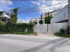 ขาย ที่ดิน 113 ตร.วา พระโขนงเหนือ วัฒนา ถนนสุขุมวิท-202509271305081758953108141.jpg