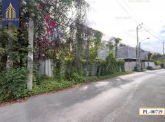 ขาย ที่ดิน 113 ตร.วา พระโขนงเหนือ วัฒนา ถนนสุขุมวิท-202509271305081758953108689.jpg