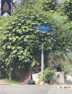 ขาย ที่ดิน 113 ตร.วา พระโขนงเหนือ วัฒนา ถนนสุขุมวิท-202509271305101758953110506.jpg