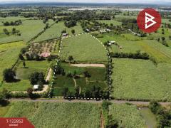 ขายที่ดิน เนื้อที่ 17 ไร่ 1 งาน 18.8 ตารางวา อ.หนองเรือ ขอนแก่น ทำเลดี-202509271323561758954236820.jpg