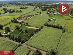 ขายที่ดิน เนื้อที่ 17 ไร่ 1 งาน 18.8 ตารางวา อ.หนองเรือ ขอนแก่น ทำเลดี-202509271323571758954237374.jpg