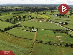 ขายที่ดิน เนื้อที่ 17 ไร่ 1 งาน 18.8 ตารางวา อ.หนองเรือ ขอนแก่น ทำเลดี-202509271323571758954237930.jpg