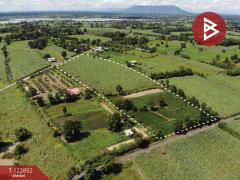 ขายที่ดิน เนื้อที่ 17 ไร่ 1 งาน 18.8 ตารางวา อ.หนองเรือ ขอนแก่น ทำเลดี-202509271323581758954238478.jpg