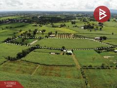 ขายที่ดิน เนื้อที่ 17 ไร่ 1 งาน 18.8 ตารางวา อ.หนองเรือ ขอนแก่น ทำเลดี-202509271323591758954239035.jpg