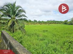 ขายที่ดิน เนื้อที่ 3 ไร่ 3 งาน 89 ตร.วา หนองเสม็ด ตราด