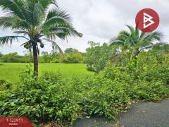 ขายที่ดิน เนื้อที่ 3 ไร่ 3 งาน 89 ตร.วา หนองเสม็ด ตราด-202509271357491758956269927.jpg