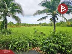 ขายที่ดิน เนื้อที่ 3 ไร่ 3 งาน 89 ตร.วา หนองเสม็ด ตราด-202509271357501758956270450.jpg