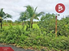 ขายที่ดิน เนื้อที่ 3 ไร่ 3 งาน 89 ตร.วา หนองเสม็ด ตราด-202509271357511758956271201.jpg