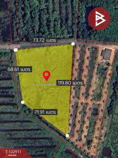 ขายที่ดิน เนื้อที่ 3 ไร่ 3 งาน 89 ตร.วา หนองเสม็ด ตราด-202509271357511758956271728.jpg