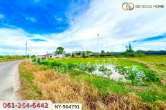 NY-964791 ที่ดินบ้านบึง 4 ไร่ ชลบุรี ใกล้ภิญโญฟาร์ม (เต้าหู้ไข่ไก่ตระกูลหยาง)-202509271611241758964284501.jpg