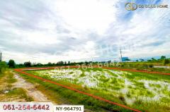 NY-964791 ที่ดินบ้านบึง 4 ไร่ ชลบุรี ใกล้ภิญโญฟาร์ม (เต้าหู้ไข่ไก่ตระกูลหยาง)-202509271611251758964285616.jpg